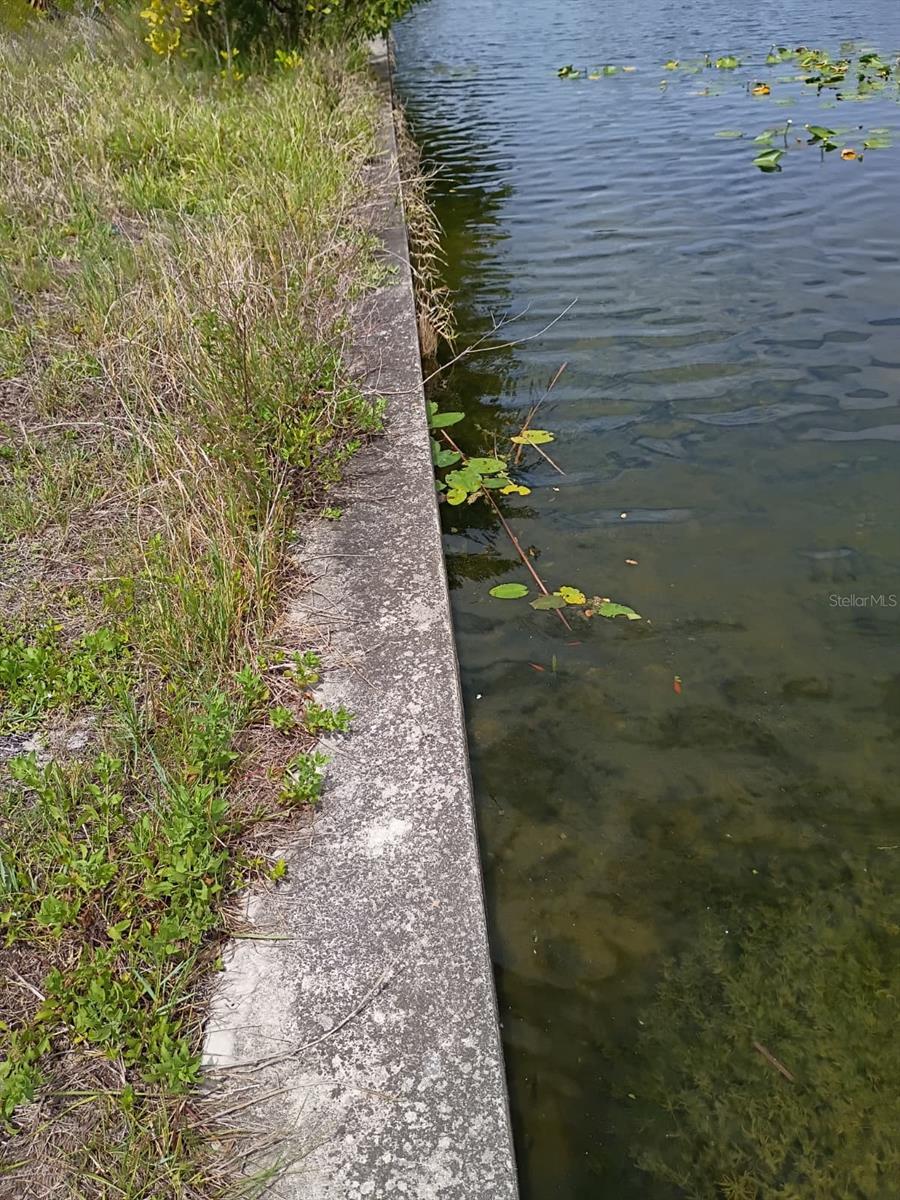 Image 4 Image 4