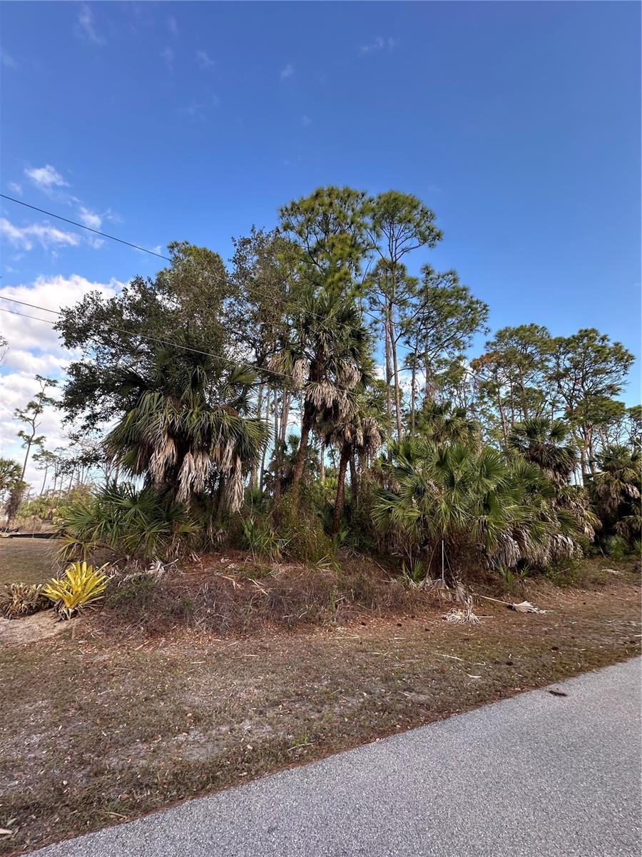 Image 1 Image 1