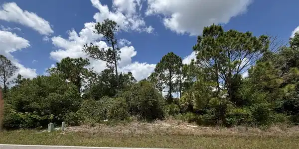 Image 4 Image 4