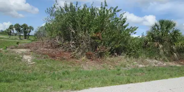 Image 4 Image 4
