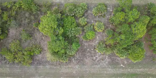 Image 3 Image 3