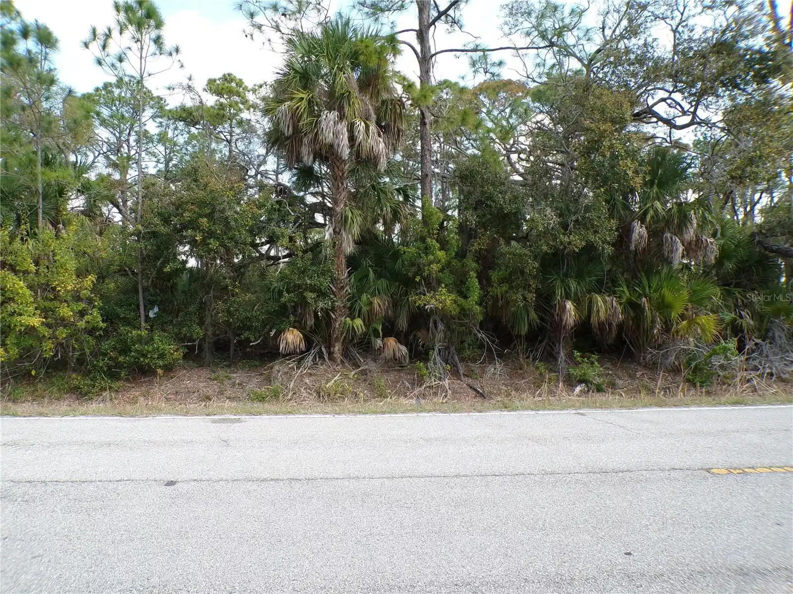Image 1 Image 1