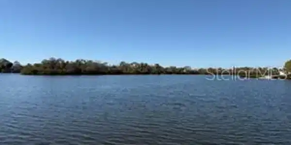 Image 4 Image 4