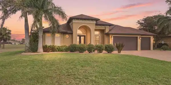 558 ROYAL POINCIANA