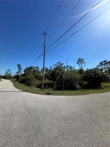 PINEWOOD STREET