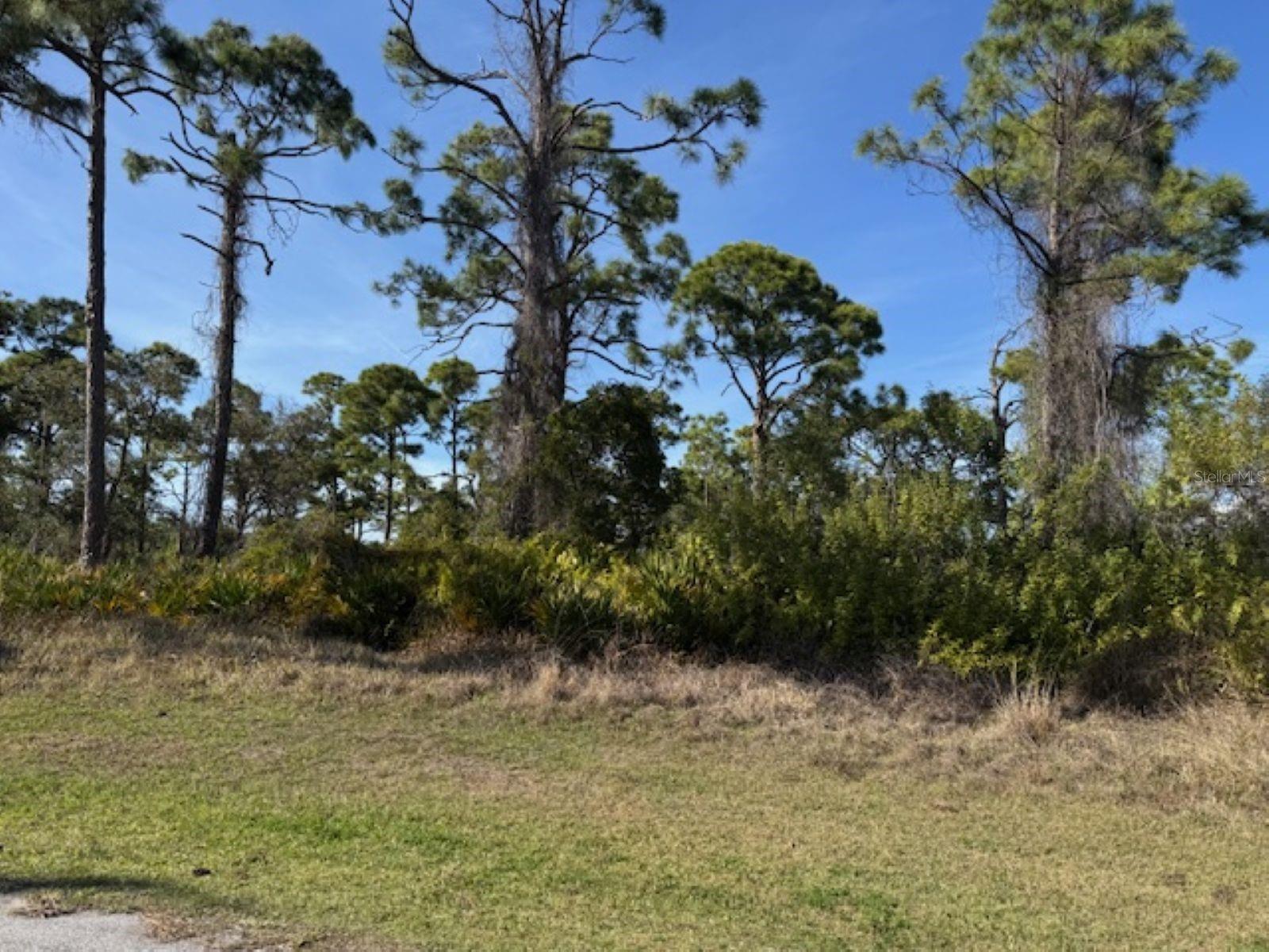 Image 2 Image 2