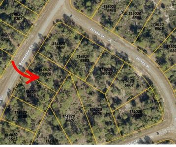 005 BARNSDALE CIRCLE
