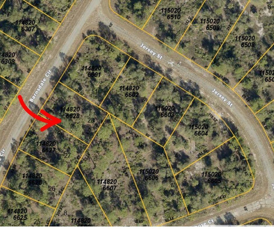 Image 1 Image 1
