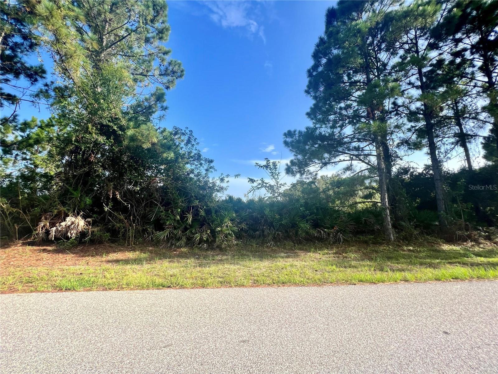 Image 1 Image 1
