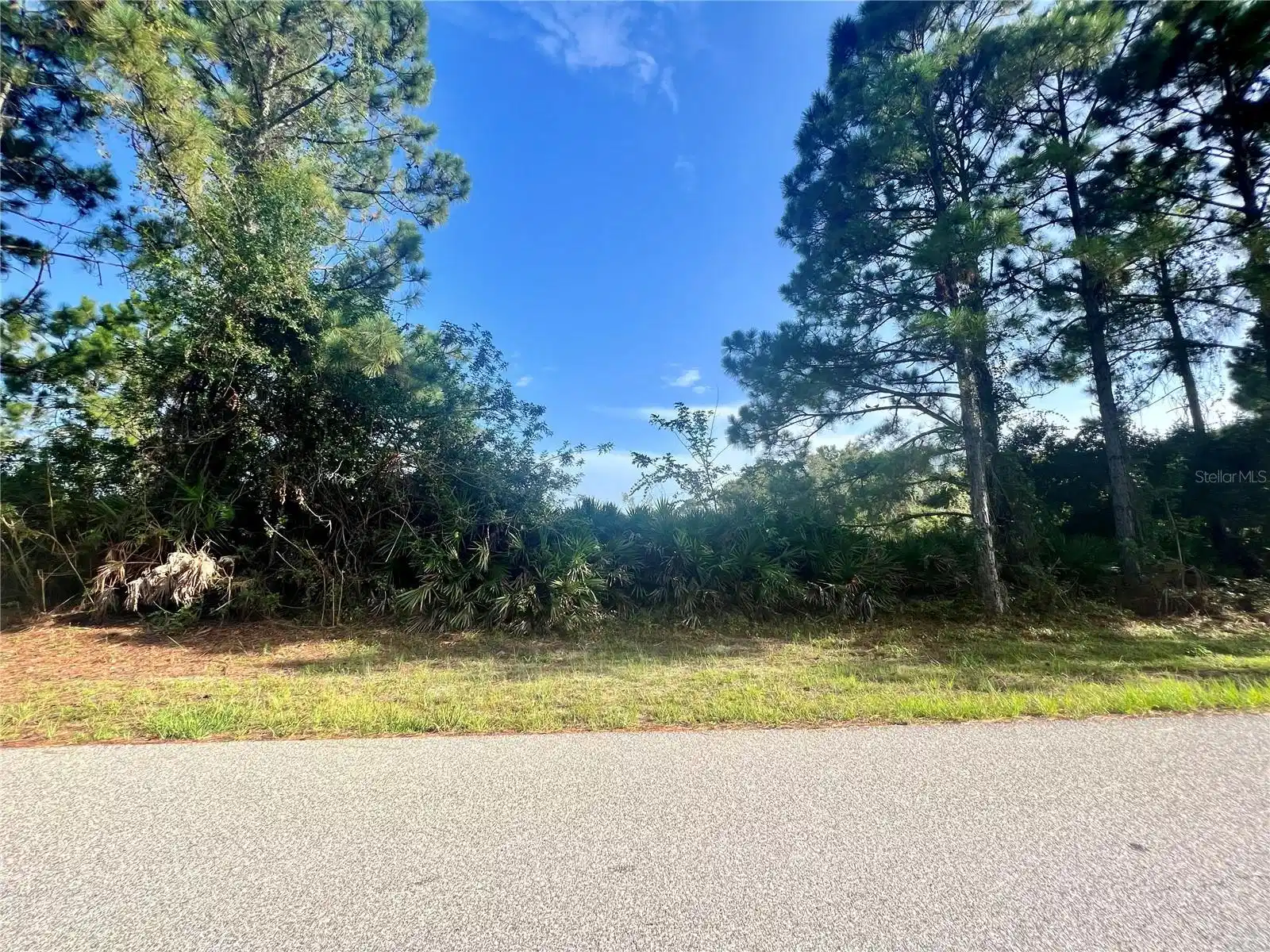 Image 1 Image 1