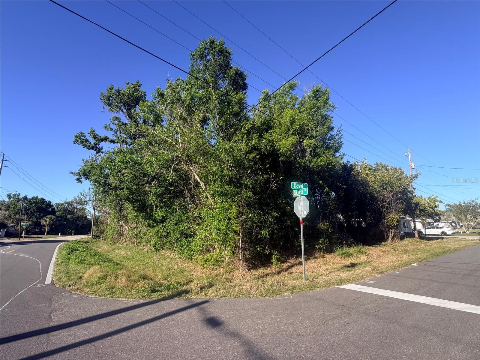 Image 1 Image 1