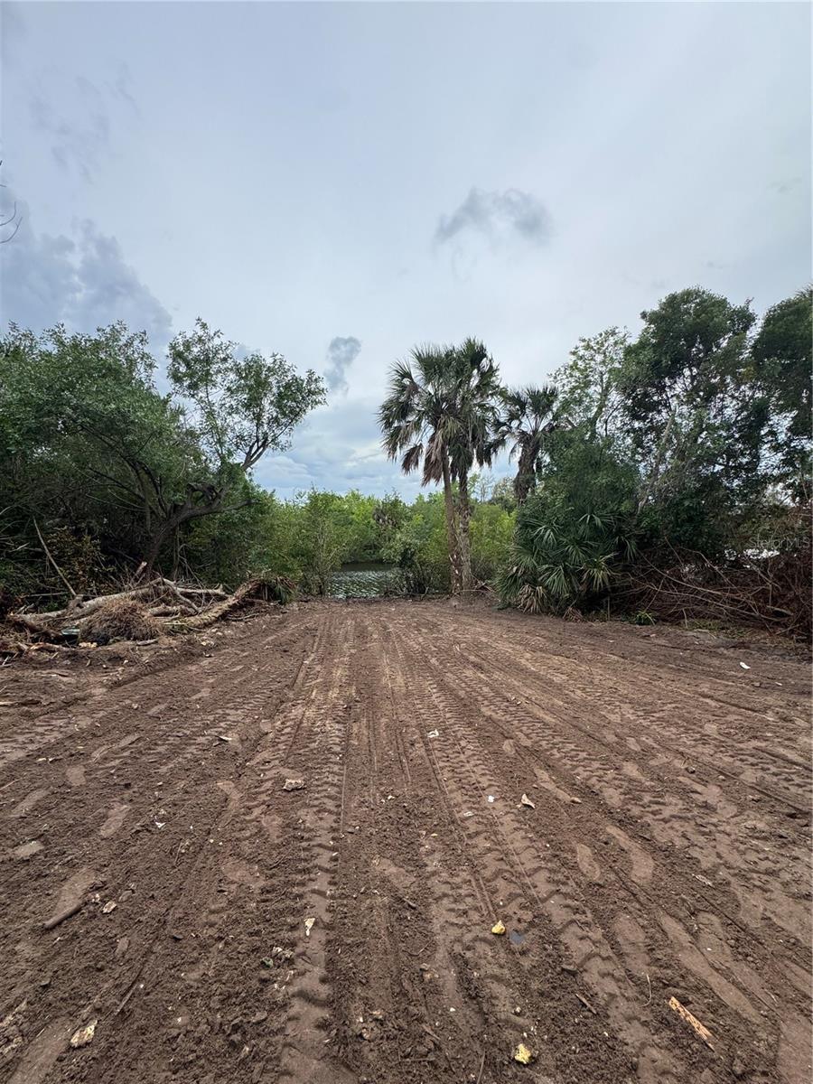 Image 1 Image 1