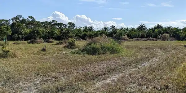 Image 4 Image 4