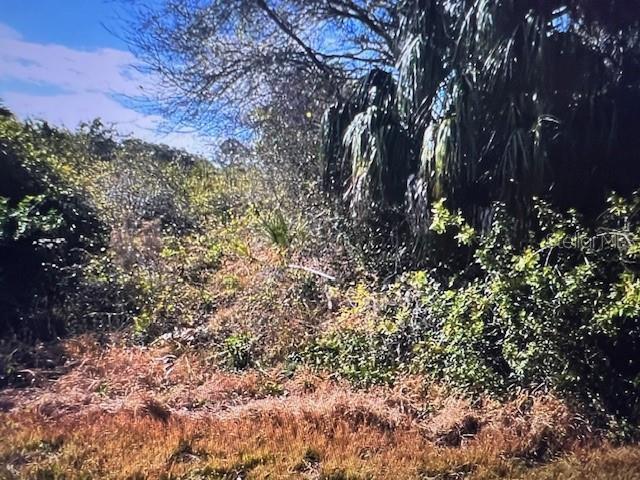 Image 3 Image 3