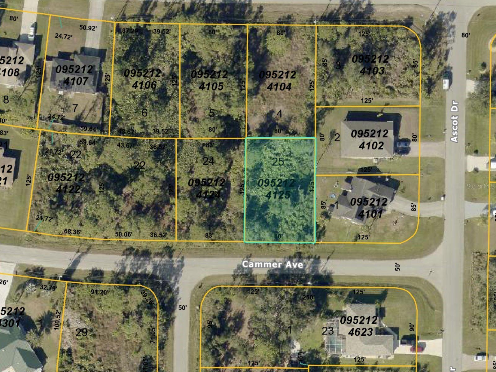 Image 1 Image 1