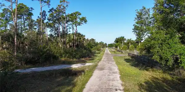 Image 3 Image 3