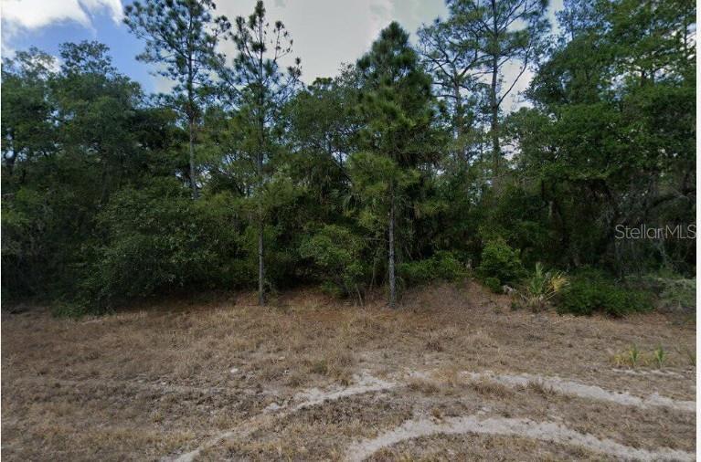 Image 1 Image 1