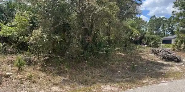 Image 3 Image 3