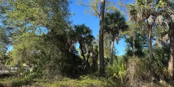 Image 3 Image 3