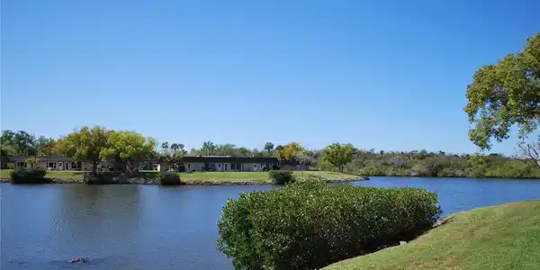 Image 4 Image 4
