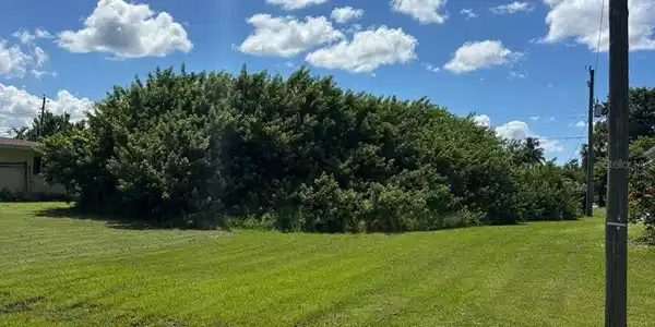 Image 3 Image 3
