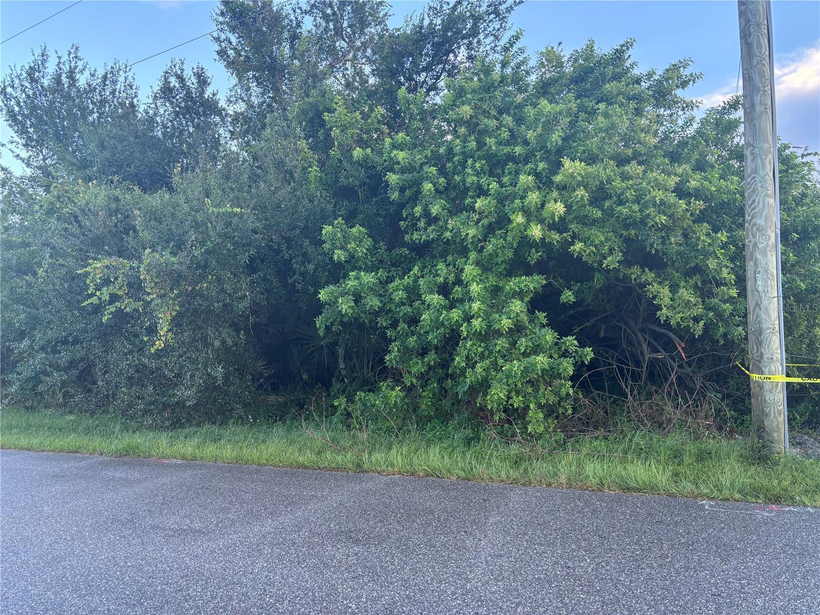 Image 1 Image 1