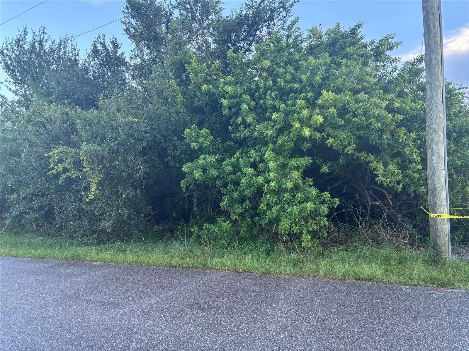Image 1 Image 1