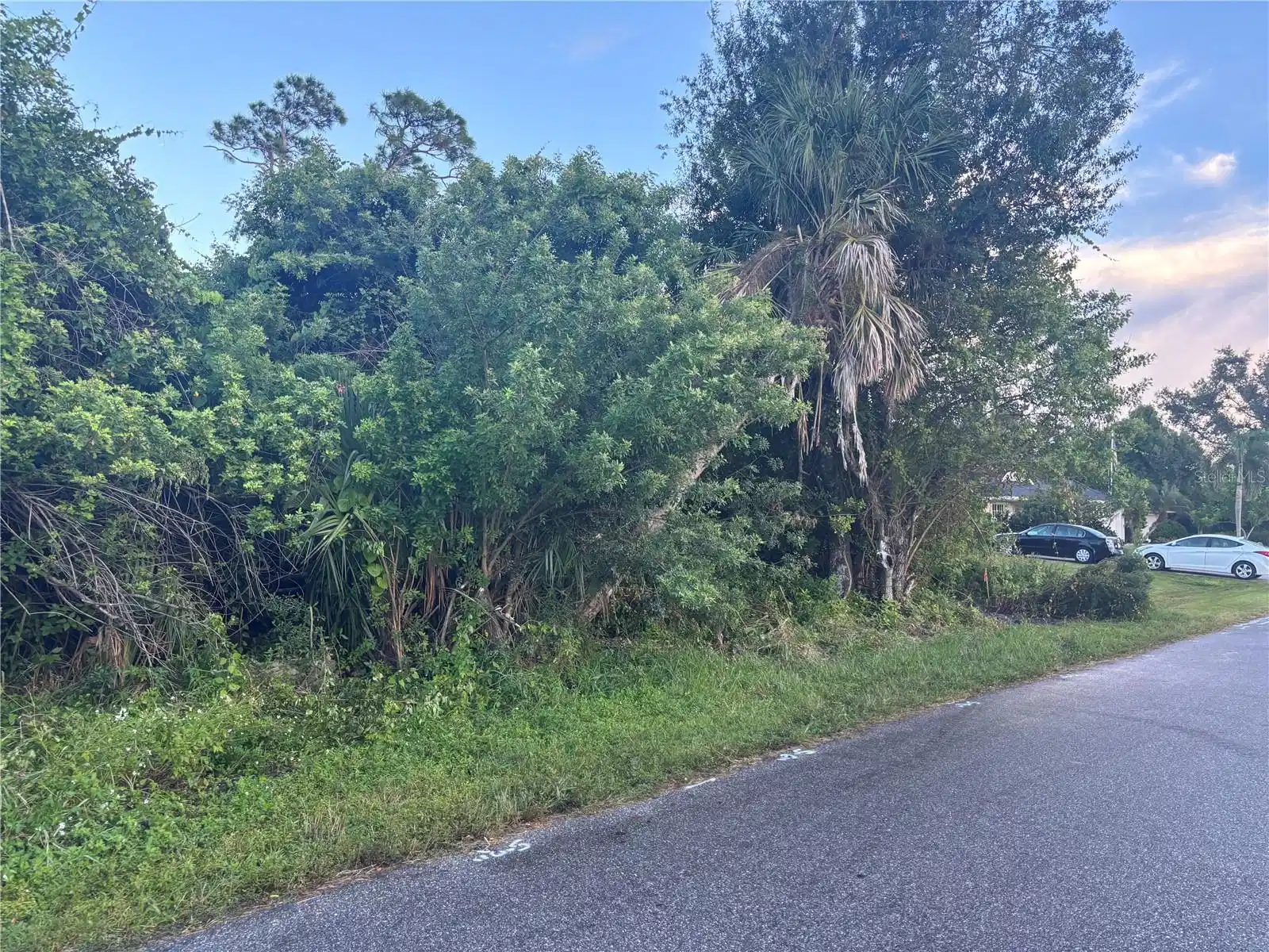 Image 1 Image 1