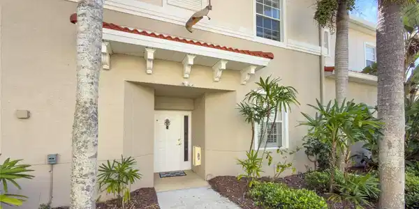 5000 IBIS WAY