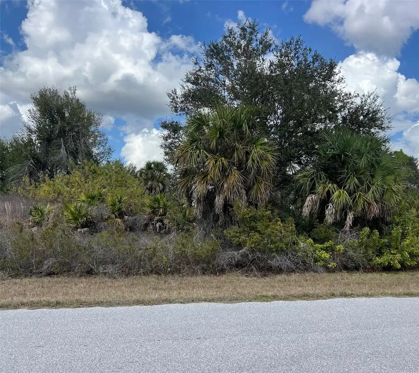 Image 1 Image 1