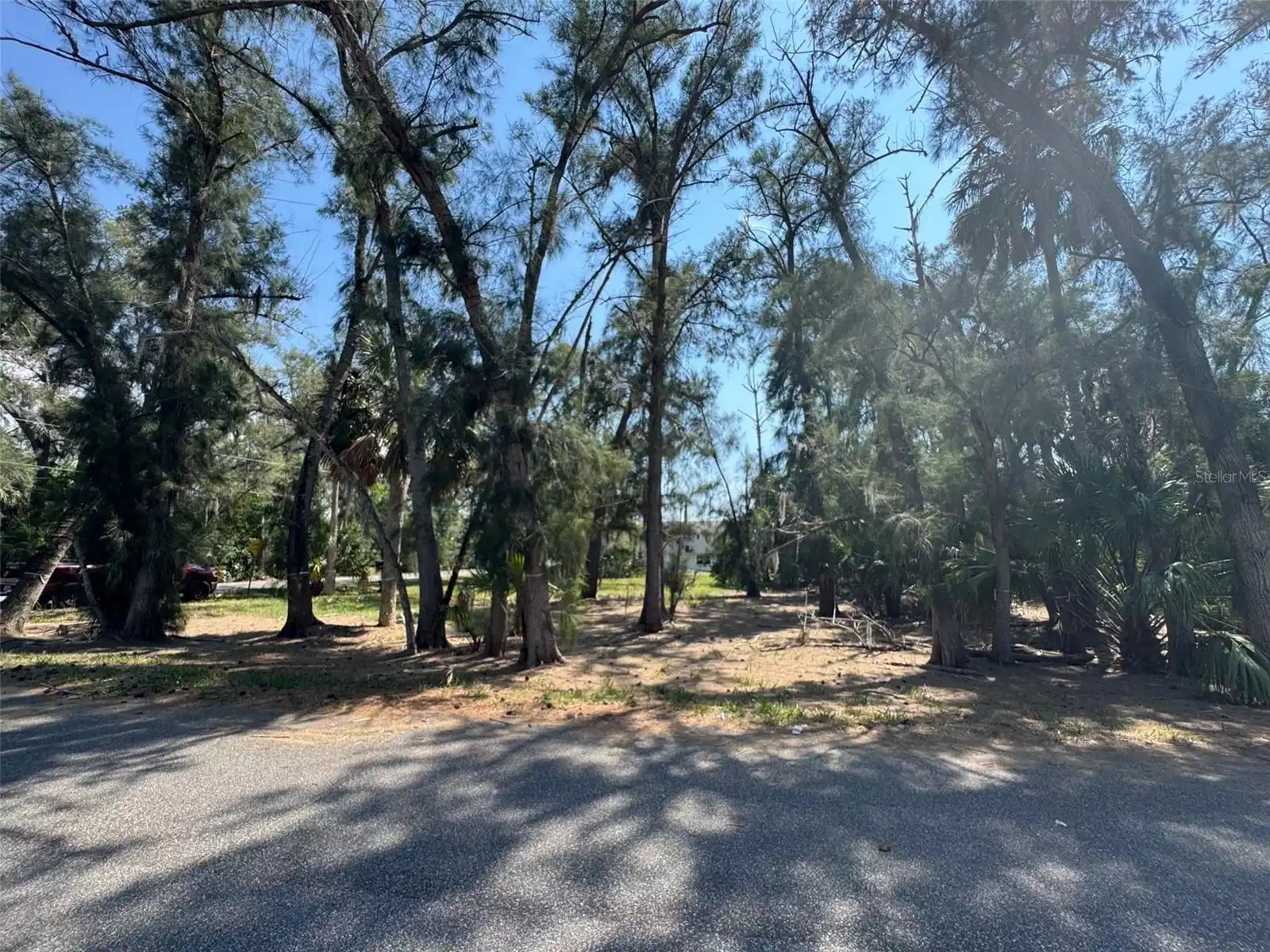 Image 1 Image 1