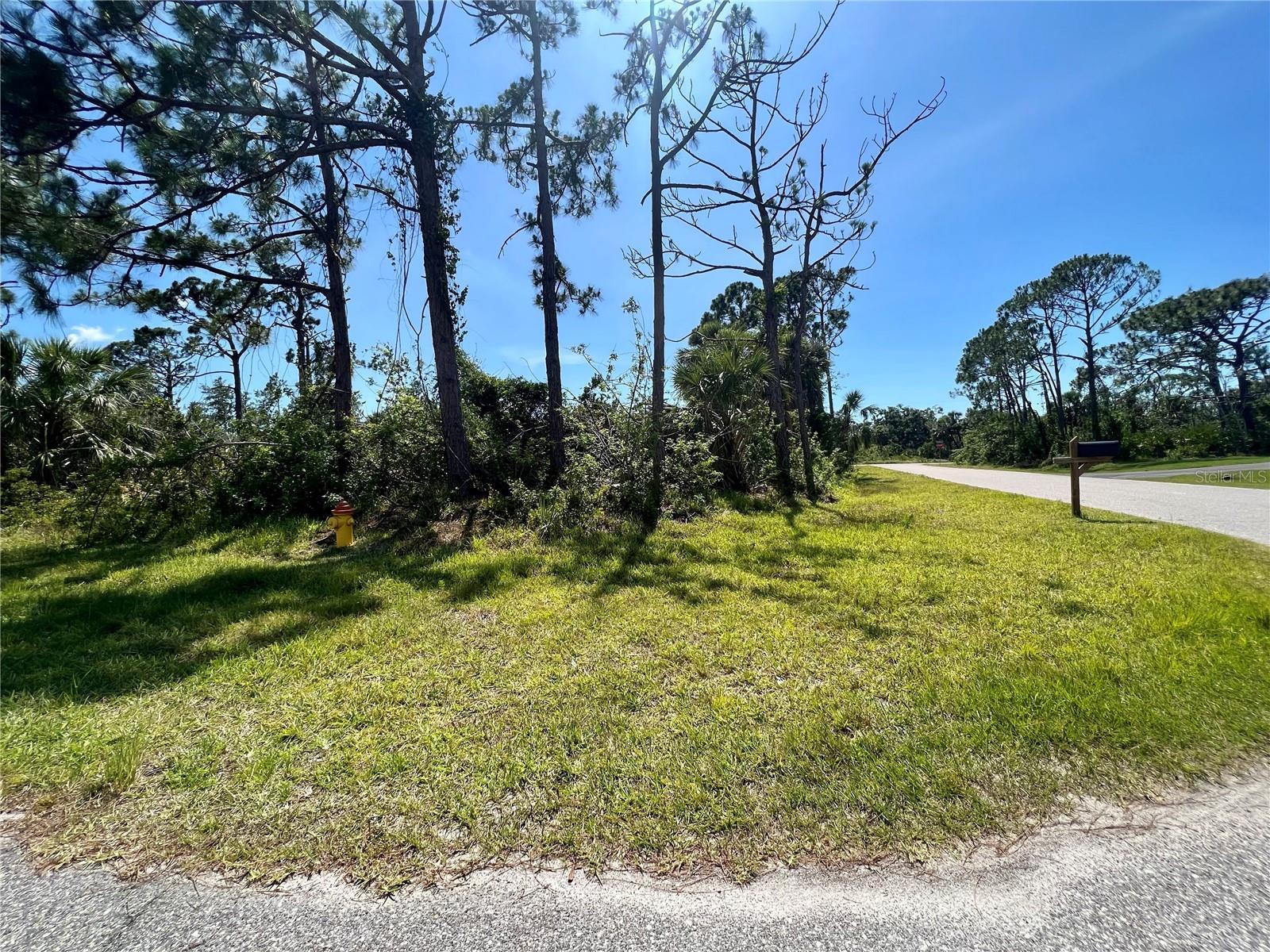 Image 1 Image 1