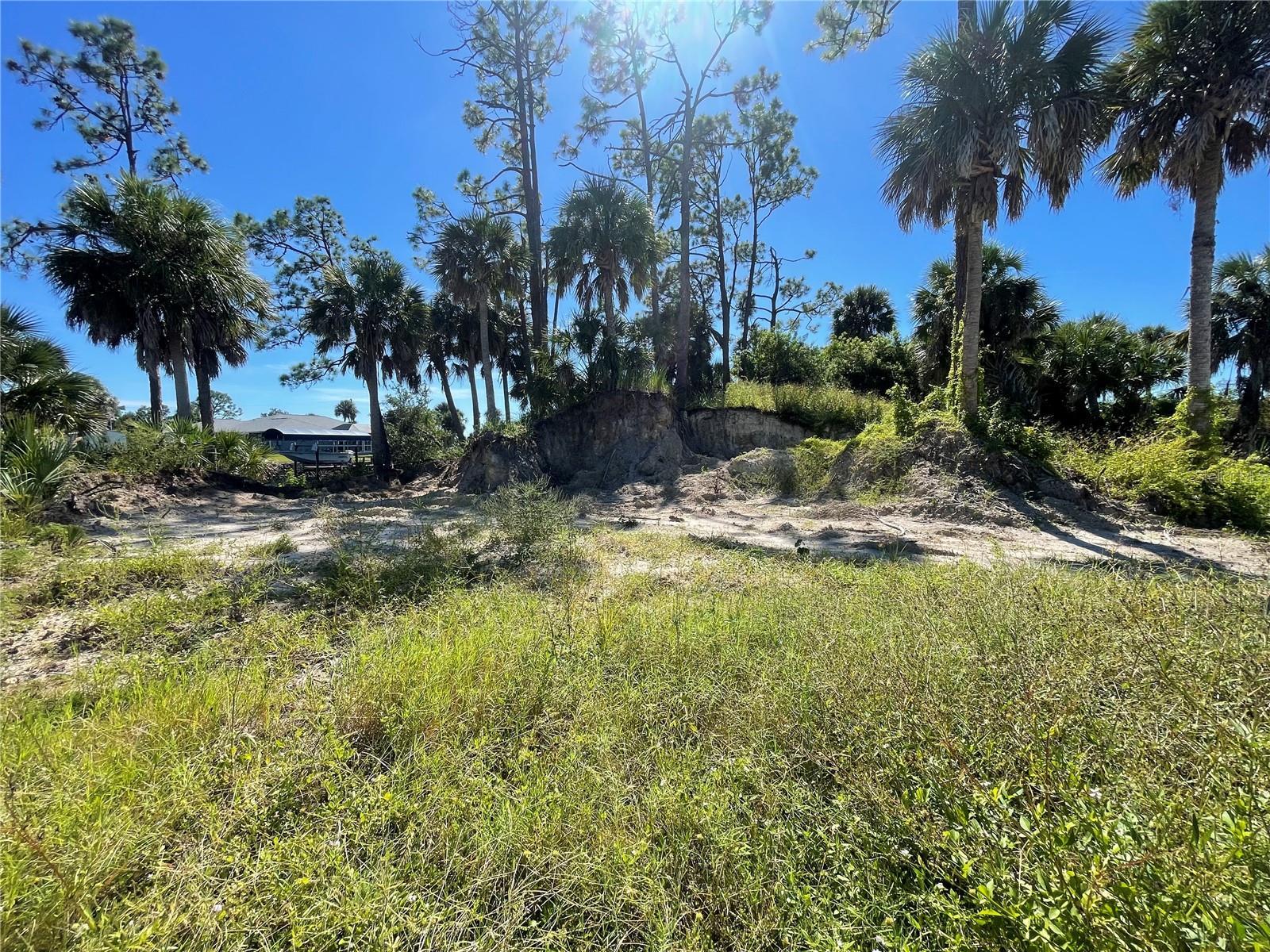 Image 1 Image 1
