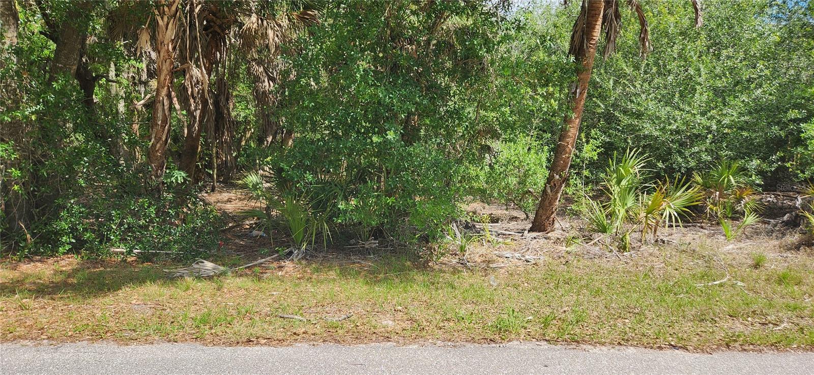 Image 4 Image 4