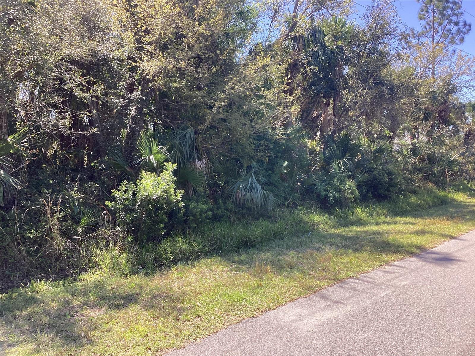 Image 1 Image 1