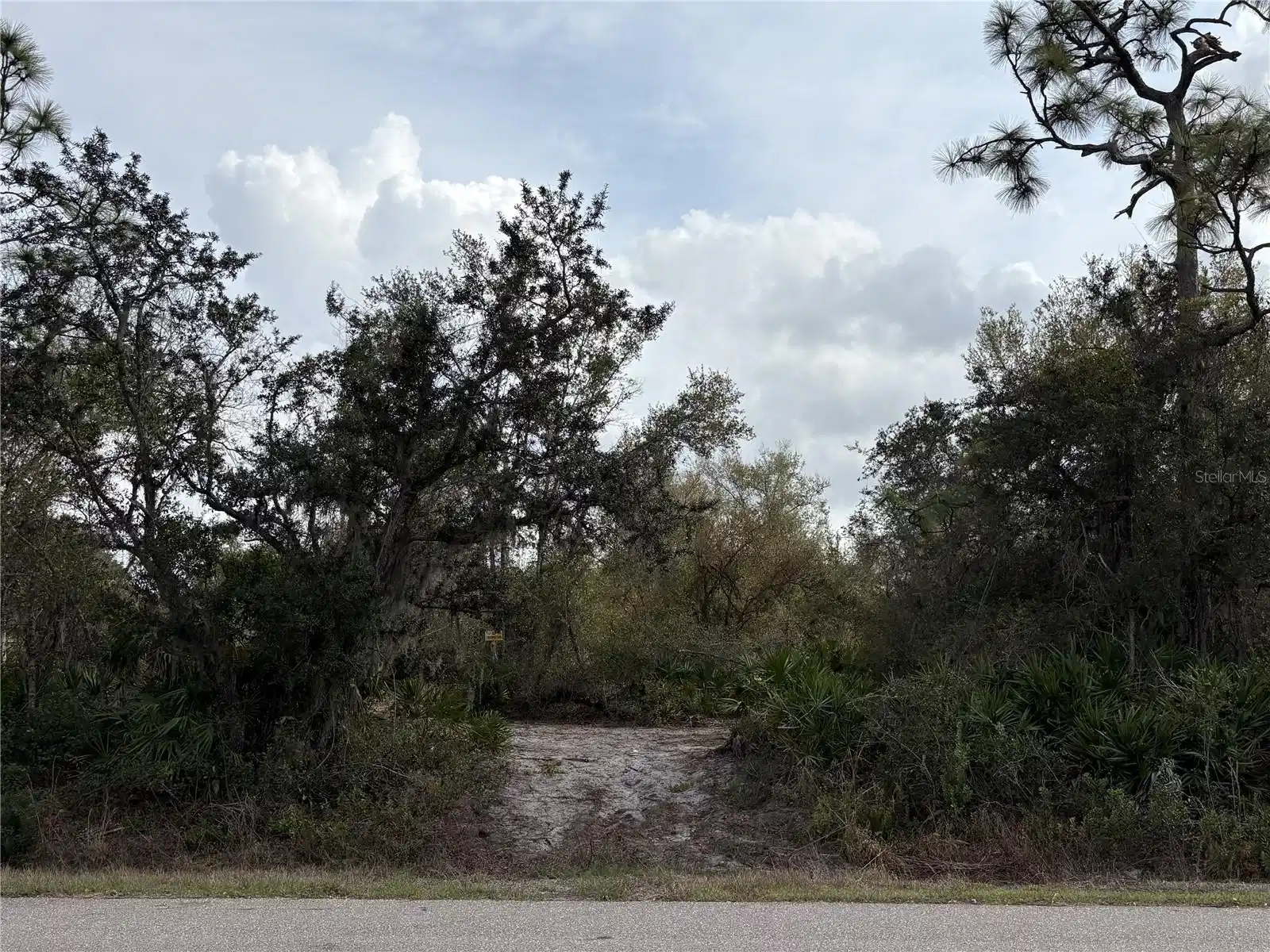 Image 1 Image 1
