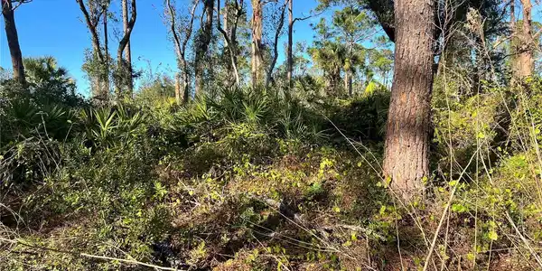 Lot 5 GRAVELMANN ROAD