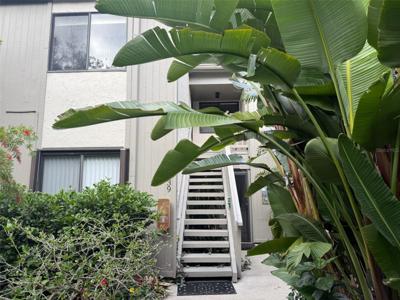 1512 PELICAN COVE ROAD