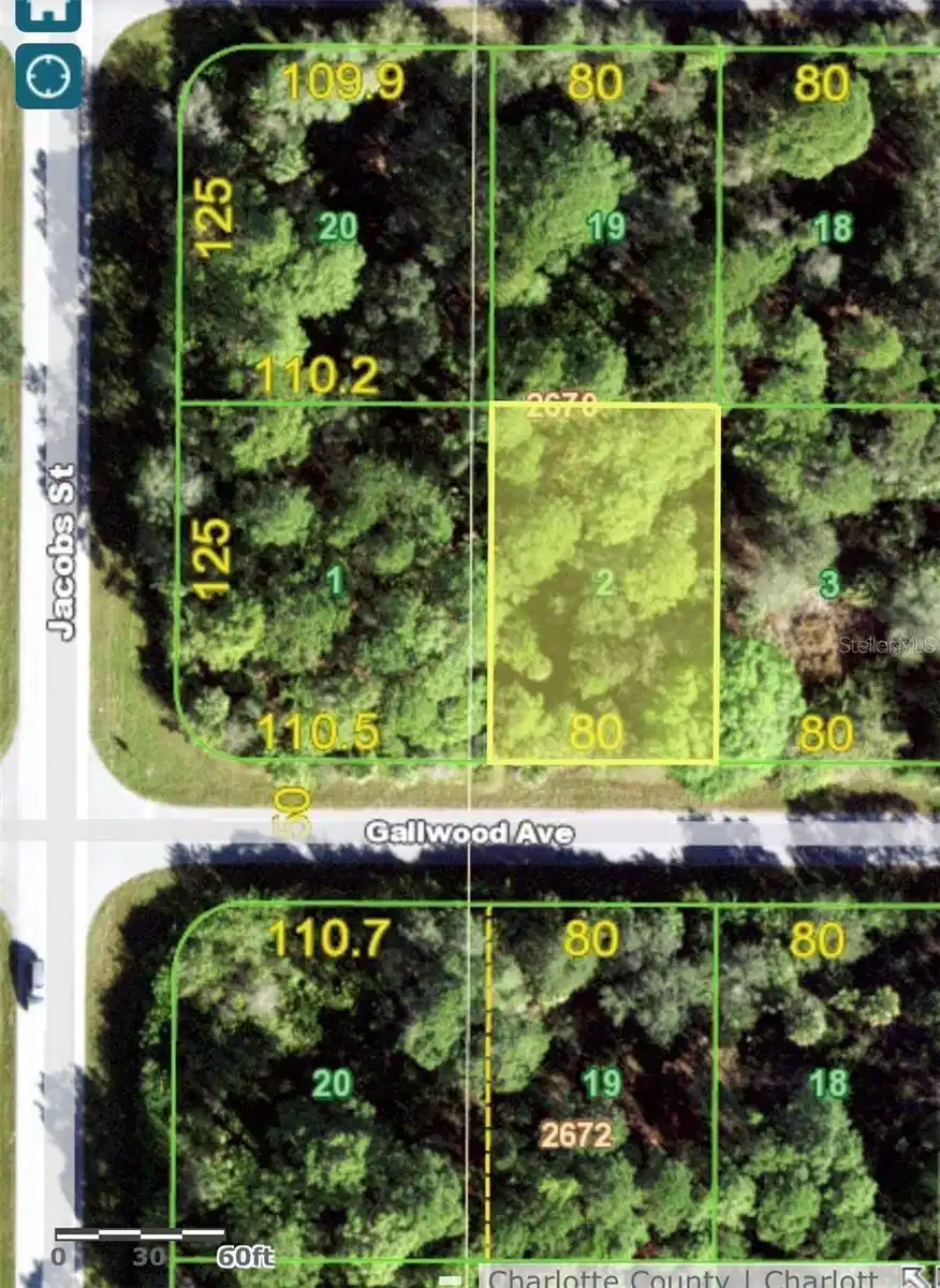 Image 1 Image 1