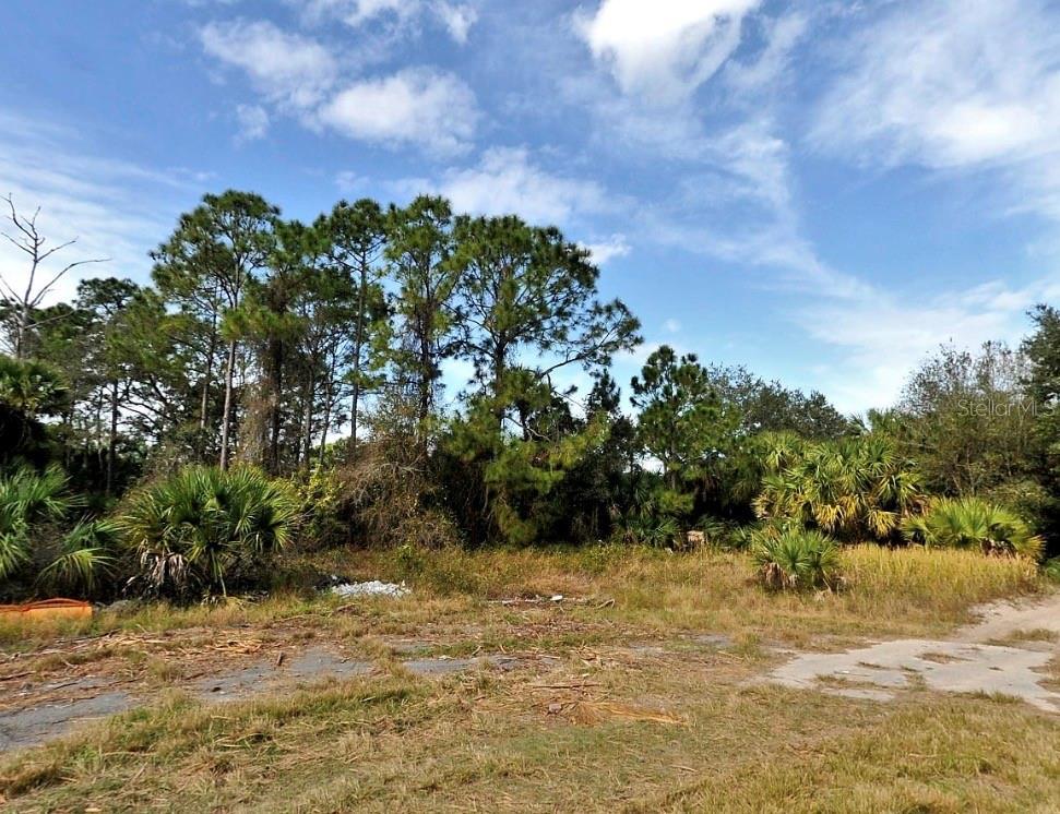 Image 1 Image 1