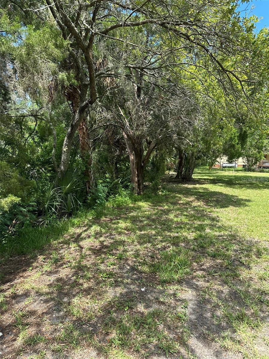 Image 4 Image 4