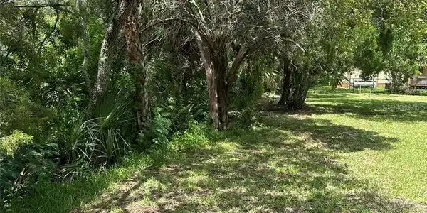 Image 4 Image 4