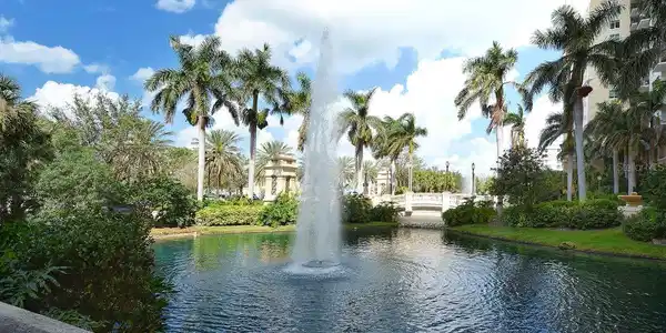 Image 3 Image 3