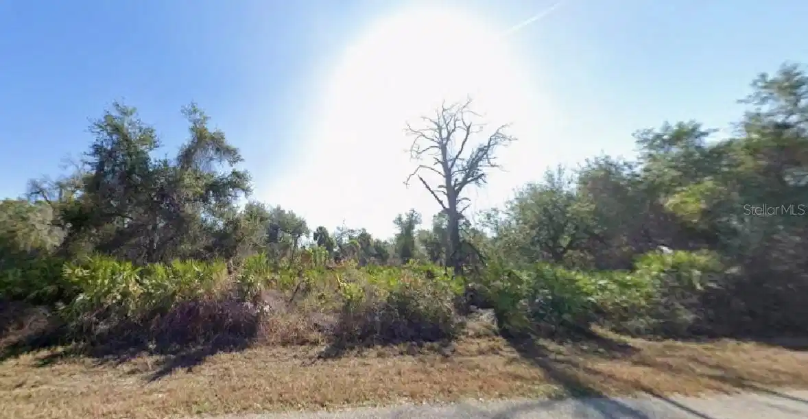 Image 1 Image 1