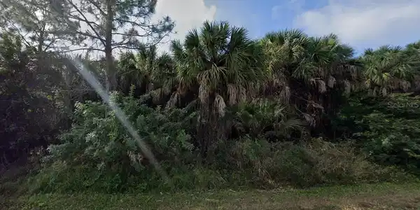 Image 4 Image 4
