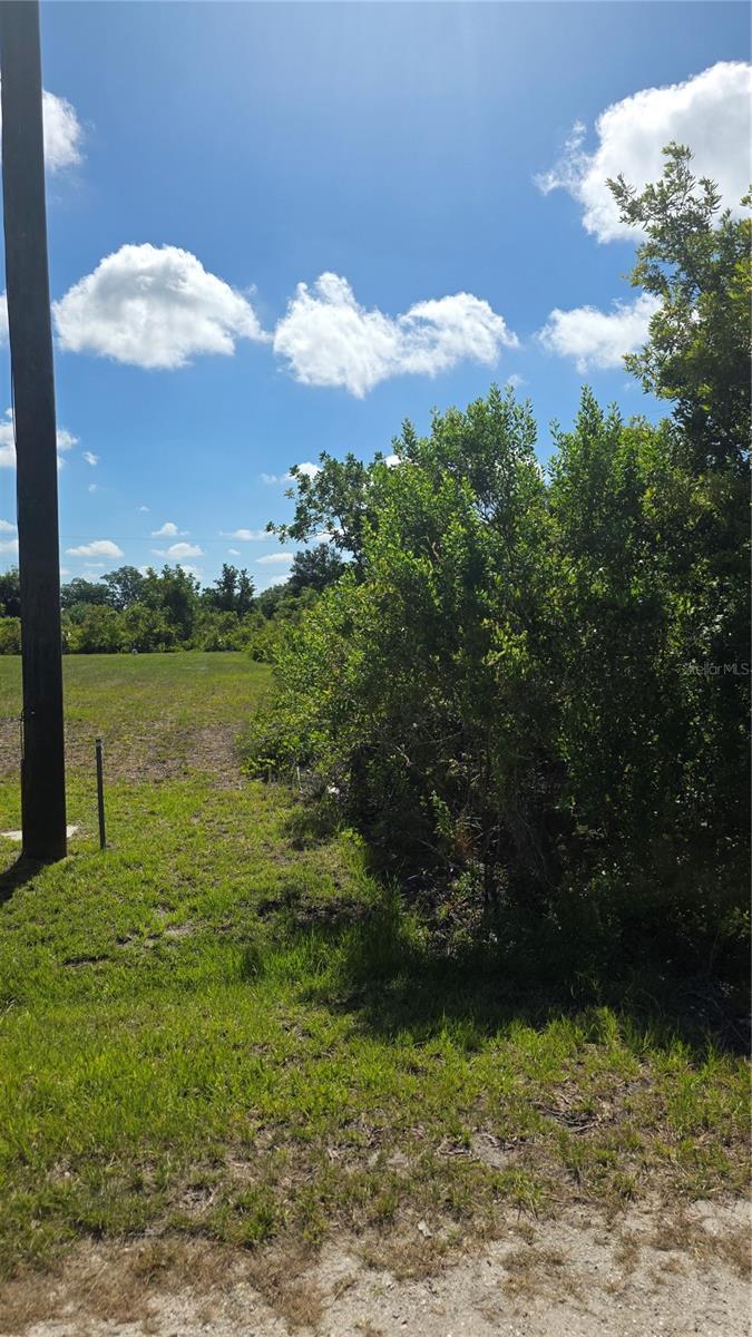 Image 1 Image 1