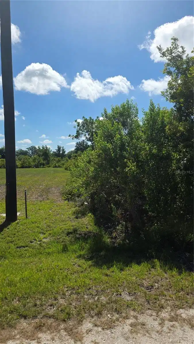 Image 1 Image 1