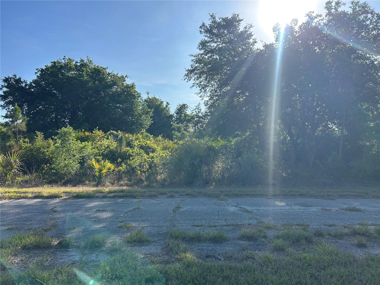 Image 1 Image 1