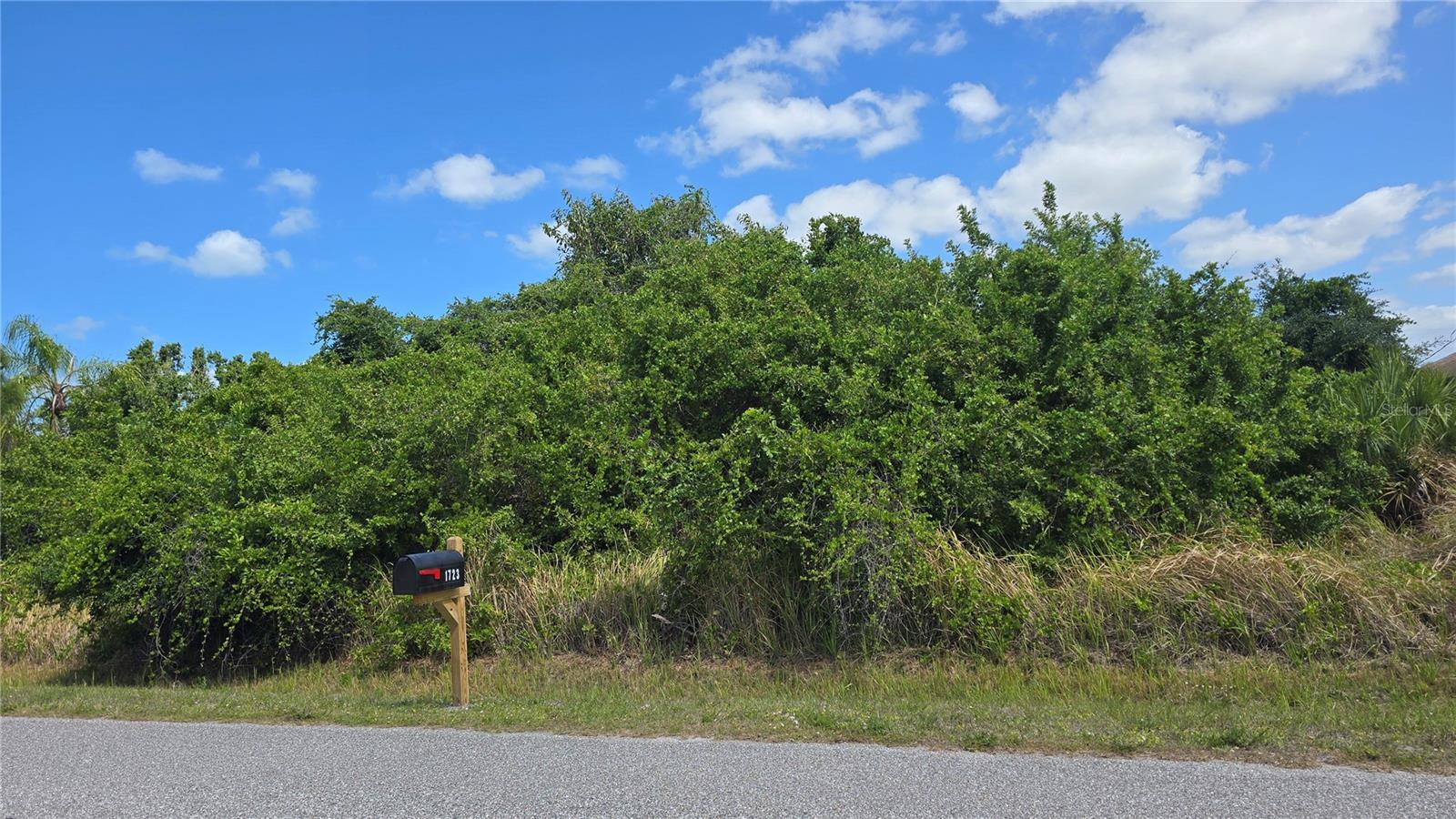 Image 1 Image 1