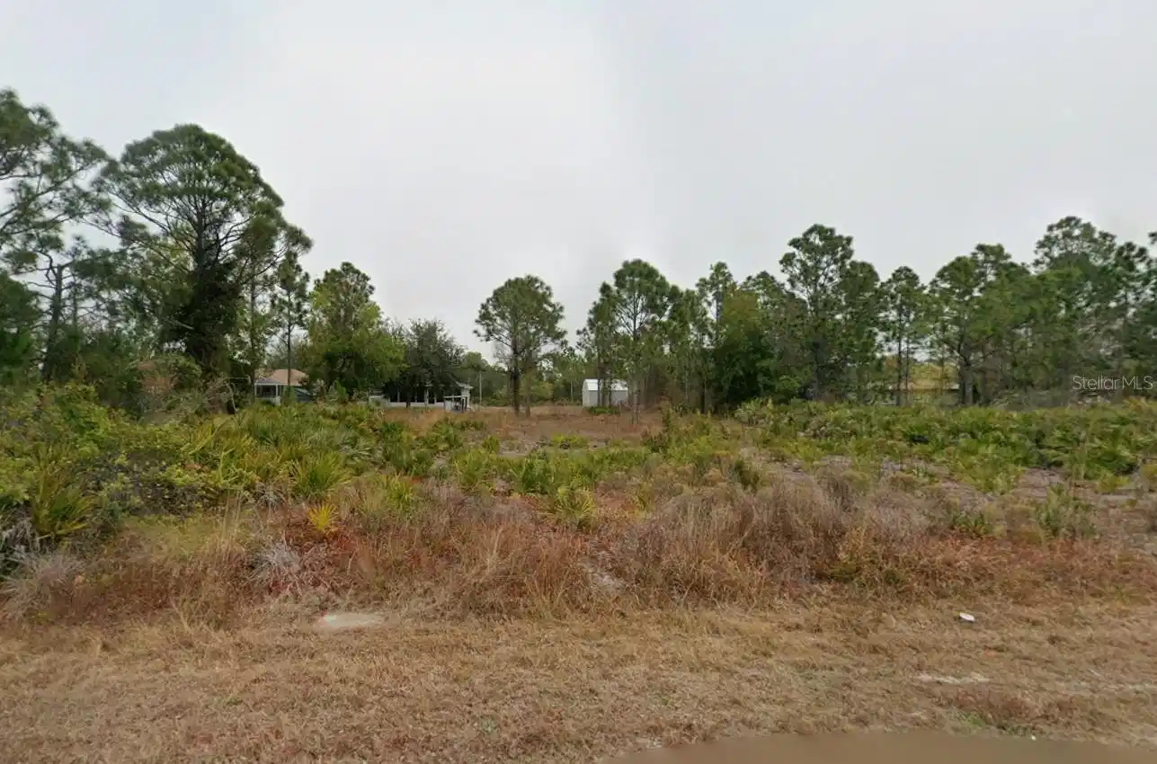 Image 1 Image 1